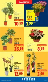 Catalogue Lidl semaine 10 page 27