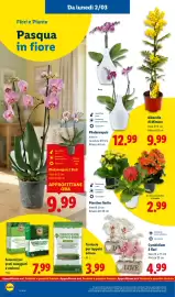 Volantino Lidl settimana 10 Pagina 40