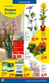 Volantino Lidl settimana 10 Pagina 40