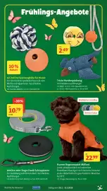 Fressnapf Prospekt Seite 16