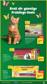 Fressnapf Prospekt Seite 7