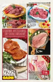 Folleto Gadis semana 9 Página 10