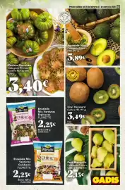 Folleto Gadis semana 9 Página 13