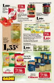 Folleto Gadis semana 9 Página 30