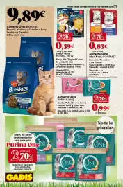 Folleto Gadis semana 9 Página 40