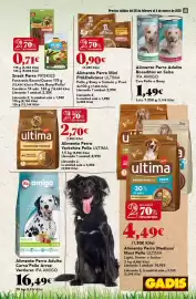 Folleto Gadis semana 9 Página 41