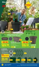 Lidl leták týden 10 Strana 12