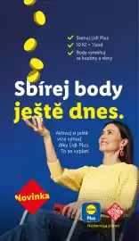Lidl leták týden 10 Strana 15