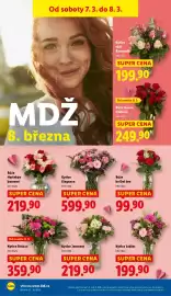 Lidl leták Strana 20