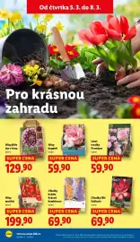 Lidl leták Strana 21