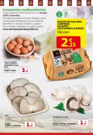 Folleto Alcampo | Sales ganando Página 11