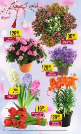 Catalog Mega Image săptămâna 9 Pagină 4