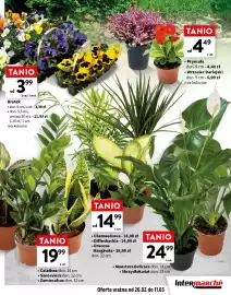 Intermarche gazetka Strona 7