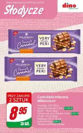 Dino gazetka tydzień 9 Strona 7