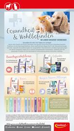 Zookauf Prospekt woche 9 Seite 6