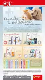 Zookauf Prospekt woche 9 Seite 6