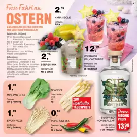 Handelshof Prospekt Seite 13