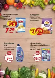 Tabloide Dia Página 5