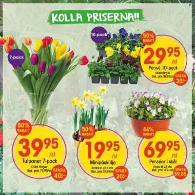 EKO reklamblad (giltig till och med 4-03)