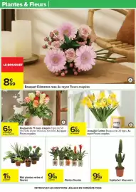 Catalogue Carrefour page 31