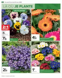 Catalogue Carrefour | JARDIN page 7