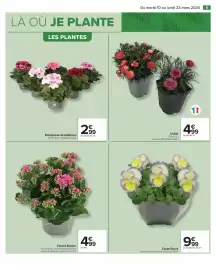 Catalogue Carrefour | JARDIN page 9