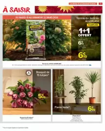 Catalogue Carrefour Drive page 73