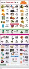 ShopRite flyer week 9 Page 14