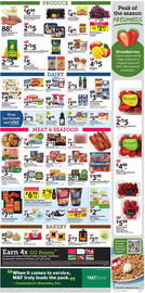 Stop&Shop weekly ad week 9 Page 10