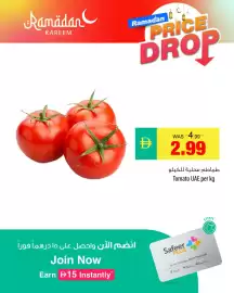 Safeer Market catalogue week 9 Page 4