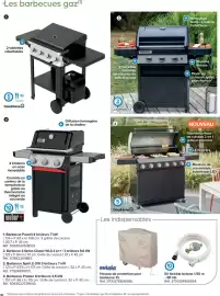 Catalogue Castorama | Jardin 2026 page 30