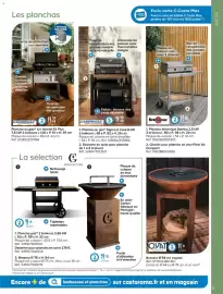 Catalogue Castorama | Jardin 2026 page 31