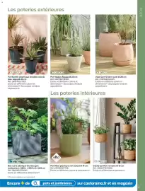 Catalogue Castorama | Jardin 2026 page 87