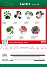 Makro gazetka Strona 10