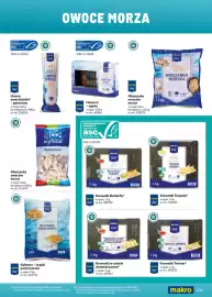 Makro gazetka Strona 101