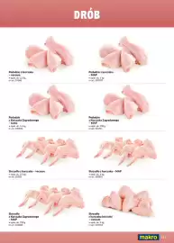 Makro gazetka Strona 111