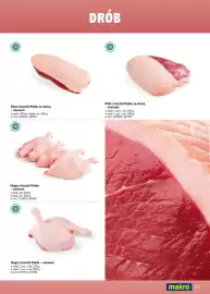 Makro gazetka Strona 115