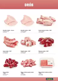 Makro gazetka Strona 117