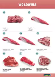 Makro gazetka Strona 133