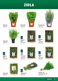 Makro gazetka Strona 15