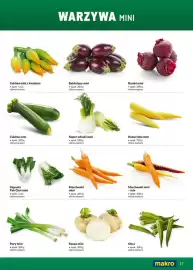 Makro gazetka Strona 17