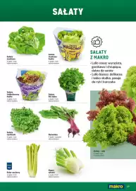 Makro gazetka Strona 19