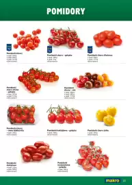 Makro gazetka Strona 23