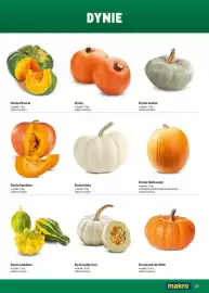 Makro gazetka Strona 25