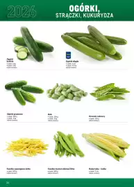 Makro gazetka Strona 26