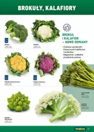 Makro gazetka Strona 27