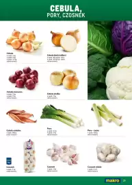 Makro gazetka Strona 29