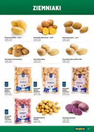 Makro gazetka Strona 33