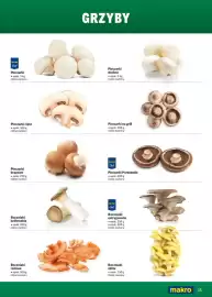 Makro gazetka Strona 35