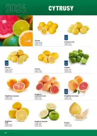 Makro gazetka Strona 40